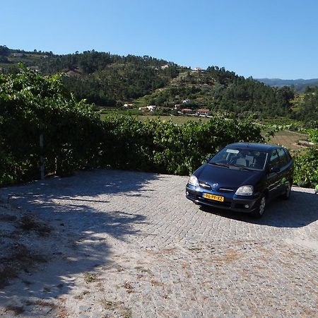 Casa Do Tamega Lejlighed Amarante Eksteriør billede